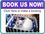 Pet Sitters Book Now